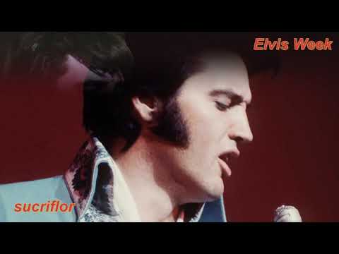 ELVIS PRESLEY - WOMAN WITHOUT LOVE