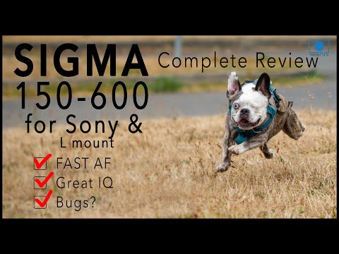 Sigma 150-600 DG DN FE - SIX things you need to know! - Full Review