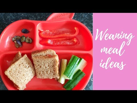 WEANING MEAL IDEAS | MOTHER HEN CLUB | THE MUMMY JOURNEY