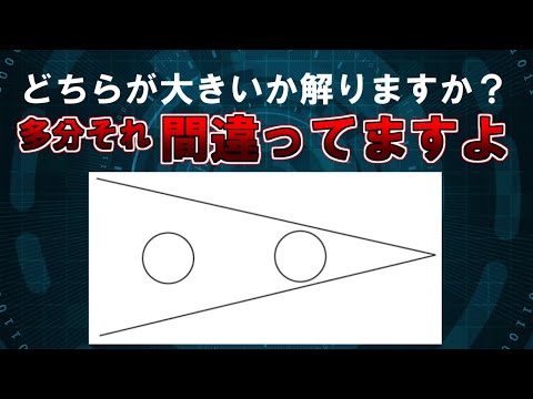 【ゆっくり解説】どちらが大きいか解りますか？