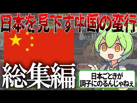 【総集編】デモに落書き、ラジオ乗っ取りなど日本を見下す中国の蛮行の数々【ずんだもん＆ゆっくり解説】