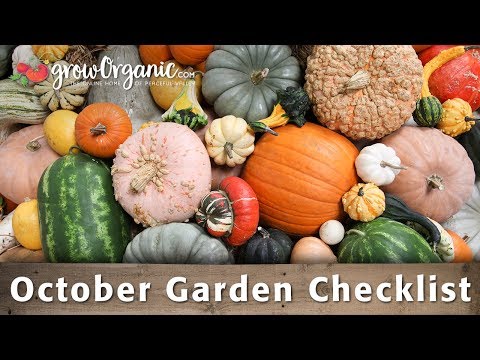 October Gardening Checklist - Things To Do In Your Organic Garden During Fall