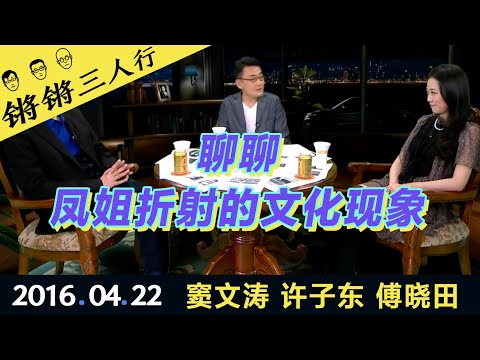 锵锵三人行20160422聊聊凤姐折射的文化现象(窦文涛 许子东 傅晓田)