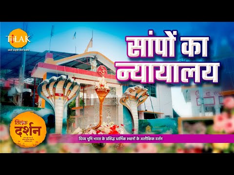 यहाँ सांपों की अदालत लगती है | Manjitha Nag Devta Temple | Barabanki | Uttar Pradesh