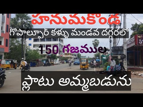 ప్లాటు అమ్మబడును  // Plat For Sale  // Hanamkonda// Gopalpur