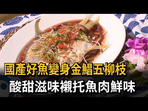 國產好魚變身金鯧五柳枝　酸甜滋味襯托魚肉鮮味－民視新聞