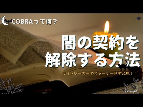 闇の契約を解除する方法～コブラって一体なに？ライトワーカー＆スターシード必見です！～