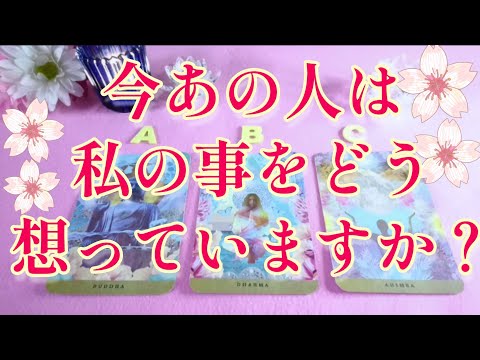 ドキドキ😳今あの人は私の事を どう思っていますか？🌈🌸片思い 両思い 複雑恋愛&障害のある恋愛 復縁希望💌🕊️～🌈🌞タロット&オラクル恋愛鑑定🌸🌸🌸