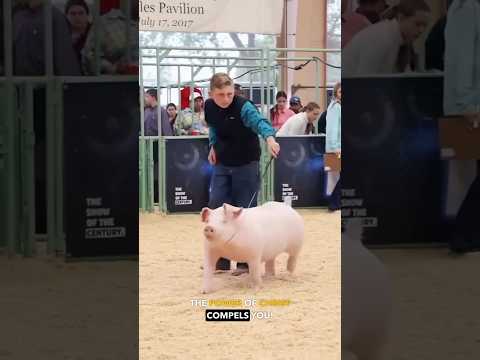 Pig Whacking WTF - Ozzy Man Quickies