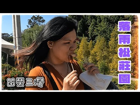 【北部溜達#11】苗栗三灣落羽松莊園，超級大的園區讓你拍個夠｜落羽松莊園｜永和山水庫｜南庄桂花巷｜