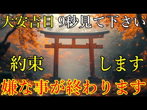 【大安吉日】無理でも9秒見て下さい。嫌な事が終わります！過去イチ幸運を引き寄せる開運波動をお受け取り下さい。運気上昇・浄化・厄払い【11月14日(木)大開運祈願】