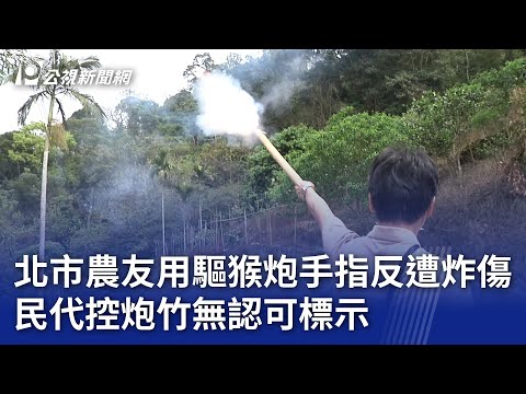 北市農友用驅猴炮手指反遭炸傷 民代控炮竹無認可標示｜20241114 公視晚間新聞