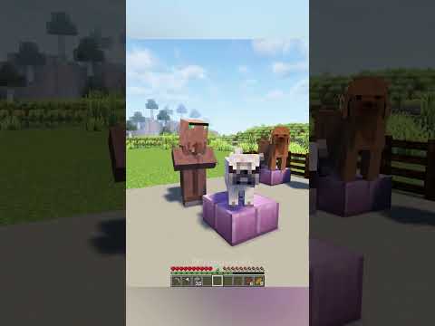 Minecraft Meme