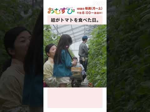 【#橋本環奈】結がトマトを食べた日 NHK総合 毎週(月～土)午前8:00～ | #朝ドラおむすび | NHK | #shorts