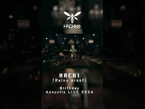 Rainy proof / HACHI【HACHI Birthday Acoustic Live 2024】#shorts