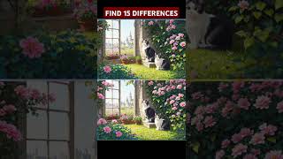 TEST YOUR IQ FIND 15 DIFFERENCES #iqtest #puzzle #puzzlelovers