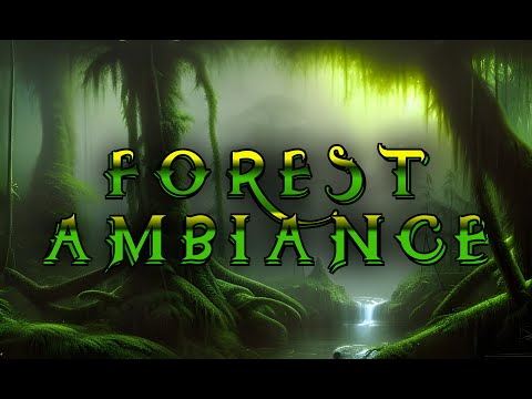 Forest Ambiance - Relaxing Nature