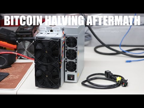 BITCOIN HALVING AFTERMATH! average block reward 12.7 BTC past 24 hours INSANE!