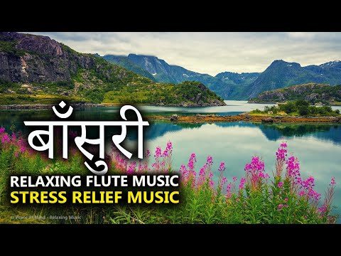 Morning Vibes l Best Morning Flute Music l Start Your Day With Good Vibes l Himalayan Flute Music