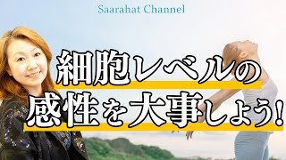 細胞レベルの感性を敏感を大事にしよう！【Saarahat/サアラ】