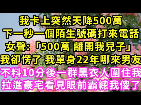 我卡上突然天降500萬，下一秒一個陌生號碼打來電話，女聲:「500萬 離開我兒子」我卻愣了 我單身22年哪來男友，不料10分後一群黑衣人圍住我拉進豪宅，看見眼前霸總我傻了#甜寵#灰姑娘#霸道總裁#愛情