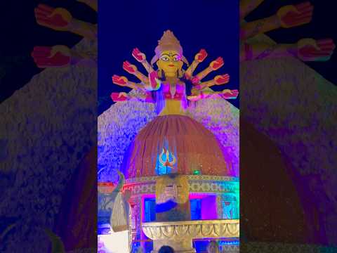 Jagaddhatri Puja 2024 I জগদ্ধাত্রী পূজা #jagaddhatri #shorts