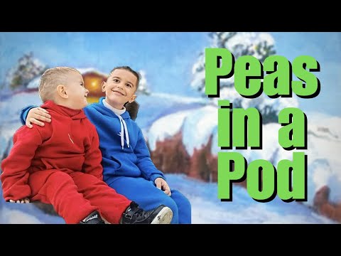 Peas in a Pod | Short story about brothers